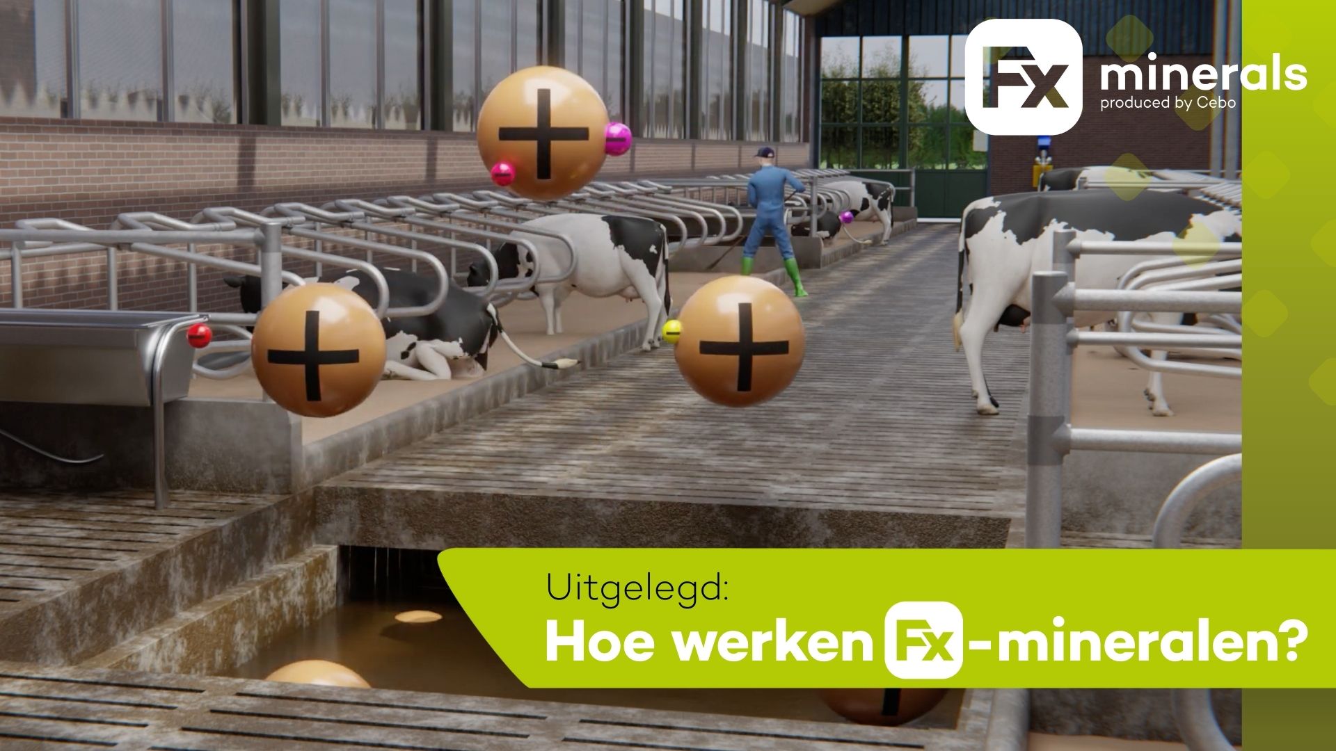 hoe-werken-fx-mineralen