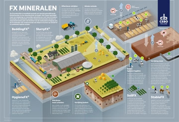 fx mineralen